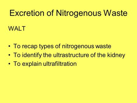 Excretion of Nitrogenous Waste
