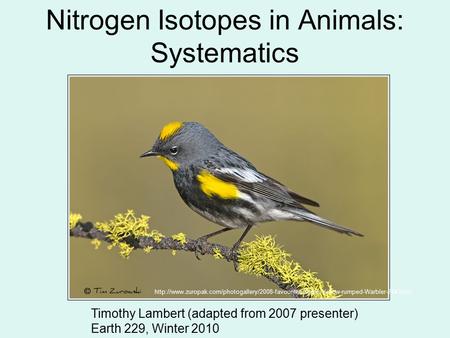 Nitrogen Isotopes in Animals: Systematics Timothy Lambert (adapted from 2007 presenter) Earth 229, Winter 2010