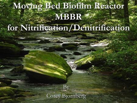Moving Bed Biofilm Reactor MBBR for Nitrification/Denitrification
