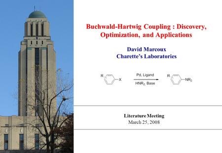 Literature Meeting March 25, 2008 Buchwald-Hartwig Coupling : Discovery, Optimization, and Applications David Marcoux Charette’s Laboratories.