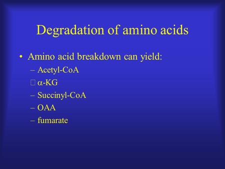 Degradation of amino acids Amino acid breakdown can yield: –Acetyl-CoA –  -KG –Succinyl-CoA –OAA –fumarate.