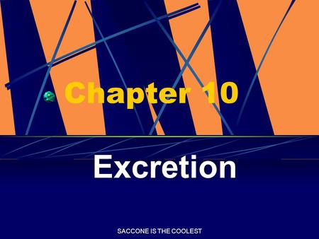 SACCONE IS THE COOLEST Chapter 10 Excretion. SACCONE IS THE COOLEST Excretion The process by which cellular wastes are removed from the organism.
