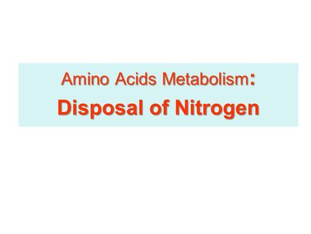 Amino Acids Metabolism : Disposal of Nitrogen. No No Storage Amino Acids of Amino Acids in the body No No Storage Amino Acids of Amino Acids in the body.