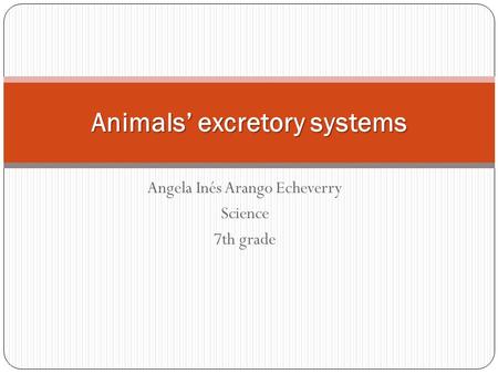 Angela Inés Arango Echeverry Science 7th grade Animals’ excretory systems.