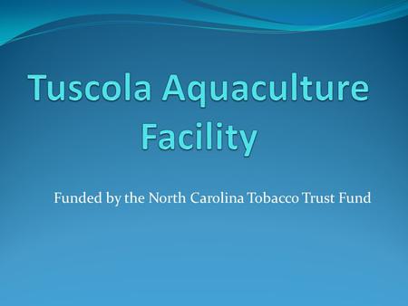 Funded by the North Carolina Tobacco Trust Fund. Thanks for making this possible!