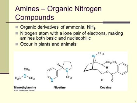 Amines – Organic Nitrogen Compounds