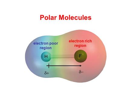 Polar Molecules H F electron rich region electron poor region d+ d-