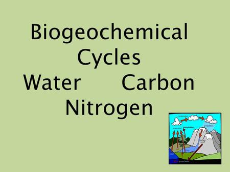 Biogeochemical Cycles Water Carbon Nitrogen. 4 ATOMS make up 95% of the body in most organisms CARBON HYDROGEN OXYGEN NITROGEN The same molecules are.