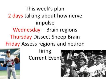 This week’s plan 2 days talking about how nerve impulse Wednesday – Brain regions Thursday Dissect Sheep Brain Friday Assess regions and neuron firing.