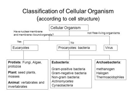 Classification of Cellular Organism ( according to cell structure) Cellular Organism EucaryotesProcaryotes: bacteriaVirus Eubacteria: Gram-positive bacteria.
