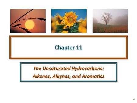 1 Chapter 11 The Unsaturated Hydrocarbons: Alkenes, Alkynes, and Aromatics The Unsaturated Hydrocarbons: Alkenes, Alkynes, and Aromatics.