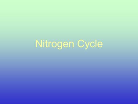 Nitrogen Cycle Sources Lightning Inorganic fertilizers Nitrogen Fixation Animal Residues Crop residues Organic fertilizers.