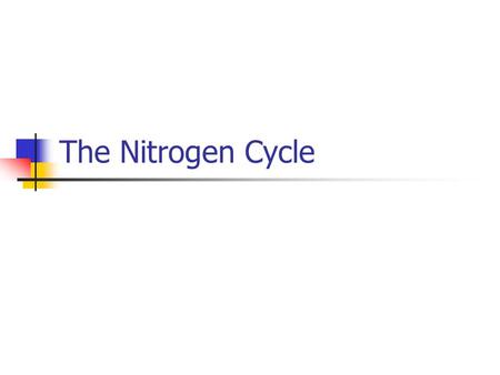 The Nitrogen Cycle. Nitrogen The most abundant element in earth’s atmosphere = approximately 78%. Used to carry out many life functions. Especially important.