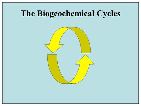 The Biogeochemical Cycles. © 2003 John Wiley and Sons Publishers Idealized diagram of the geologic cycle, which includes the tectonic, hydrologic, rock.