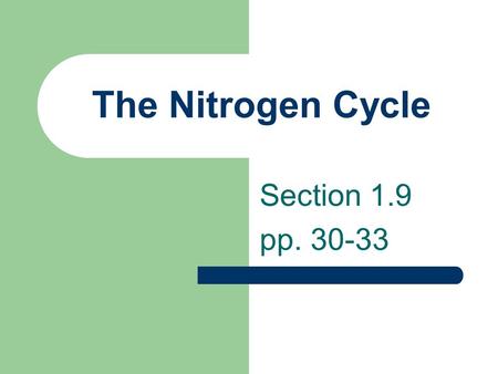 The Nitrogen Cycle Section 1.9 pp. 30-33. Nitrogen Cycle Nitrogen is essential to living things for the production of proteins and DNA which are used.