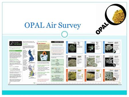 OPAL Air Survey. What is air? Air is a mixture of gases Nitrogen 78.09%, Oxygen 20.95%, 1% other.