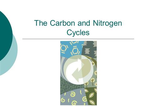 The Carbon and Nitrogen Cycles