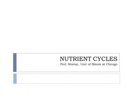 NUTRIENT CYCLES Prof. Murray, Univ of Illinois at Chicago