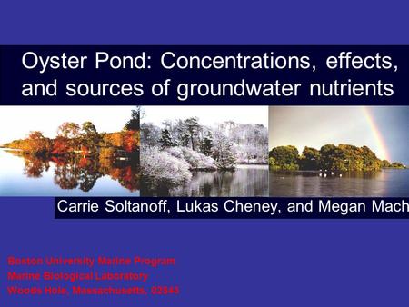Carrie Soltanoff, Lukas Cheney, and Megan Mach Oyster Pond: Concentrations, effects, and sources of groundwater nutrients Boston University Marine Program.