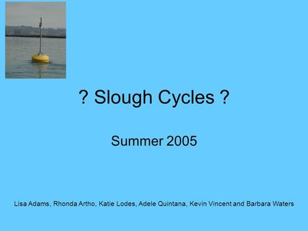 ? Slough Cycles ? Summer 2005 Lisa Adams, Rhonda Artho, Katie Lodes, Adele Quintana, Kevin Vincent and Barbara Waters.