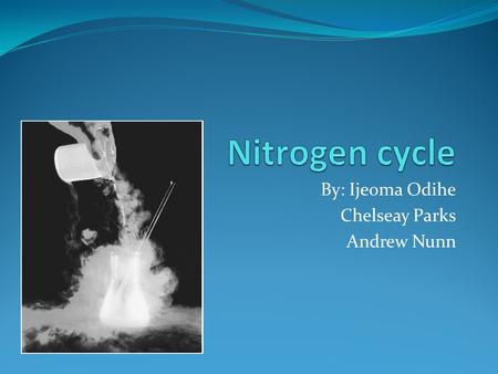 By: Ijeoma Odihe Chelseay Parks Andrew Nunn. Definition Nitrogen cycle: Biogeochemical cycle in which nitrogen is transported throughout the Earth. Makes.