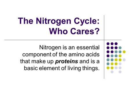 The Nitrogen Cycle: Who Cares? Nitrogen is an essential component of the amino acids that make up proteins and is a basic element of living things.