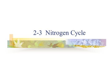 2-3 Nitrogen Cycle.