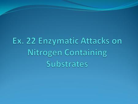 Enzymes that attack “N” substrates 1. Urease 2. Gelatinase 3. Nitrate Reductase.