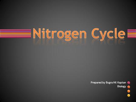 Prepared by Bugra Nil Kaptan Biology. Nitrogen Nitrogen is the 7th element on the periodic table. Nitrogen is a very important element since it is essential.