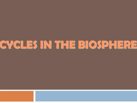 CYCLES IN THE bIOSPHERE