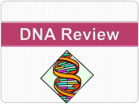 What does DNA stand for? Deoxyribonucleic Acid.