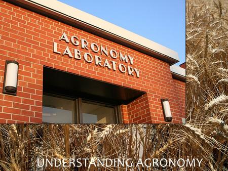 UNDERSTANDING AGRONOMY. Plant Nutrients and Fertility Objectives Identify essential nutrients for plant growth; Identify essential nutrients for plant.