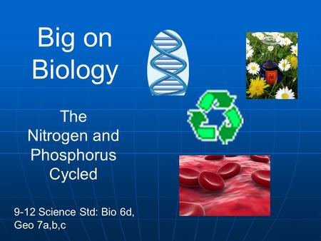 Big on Biology The Nitrogen and Phosphorus Cycled 9-12 Science Std: Bio 6d, Geo 7a,b,c.