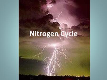 Nitrogen Cycle. Where have you heard of nitrogen before?