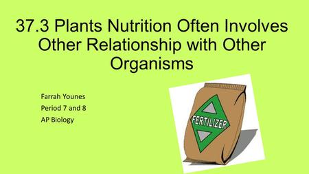 37.3 Plants Nutrition Often Involves Other Relationship with Other Organisms Farrah Younes Period 7 and 8 AP Biology.