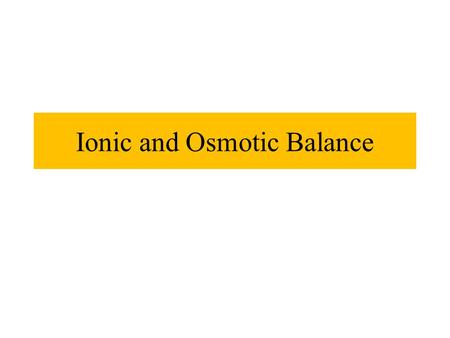 Ionic and Osmotic Balance. Ion & Water Balance Kidneys are main organs of ion & water balance Gills, skin, digestive mucosa all help with ion and water.