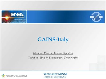 W ORKSHOP MINNI Roma, 17-18 aprile 2013 GAINS-Italy Giovanni Vialetto, Tiziano Pignatelli Technical Unit on Environment Technologies.