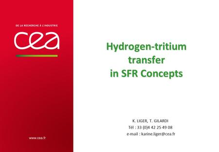 Hydrogen-tritium transfer in SFR Concepts