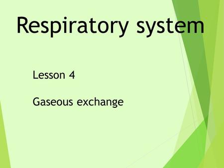 Respiratory system Lesson 4 Gaseous exchange. LO – Level 4 –To state where oxygen gets into the blood and how it is transported around the body. Level.