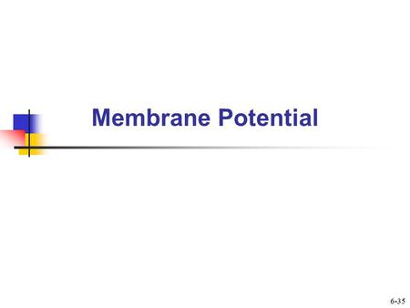 Membrane Potential 6-35.