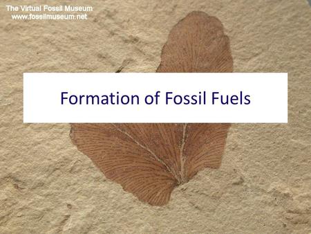 Formation of Fossil Fuels. Fossil Fuels Coal Oil (Petroleum) Natural Gas.