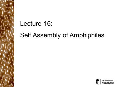 Lecture 16: Self Assembly of Amphiphiles. What did we cover in the last lecture? Aggregates will form when the free energy per molecule/particle inside.