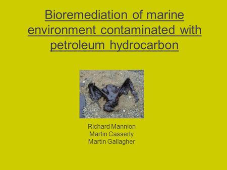 Bioremediation of marine environment contaminated with petroleum hydrocarbon Richard Mannion Martin Casserly Martin Gallagher.