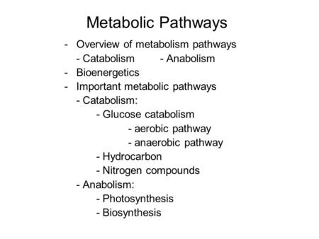 Metabolic Pathways Overview of metabolism pathways