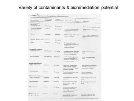 Variety of contaminants & bioremediation potential