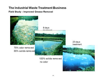 Field Study - Improved Grease Removal The Industrial Waste Treatment Business 44 75% odor removed 55% solids removed 8 days treatment 100% solids removed.