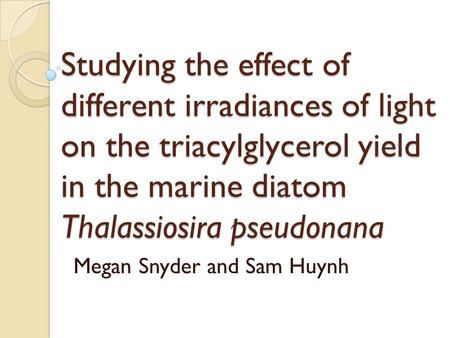 Studying the effect of different irradiances of light on the triacylglycerol yield in the marine diatom Thalassiosira pseudonana Megan Snyder and Sam Huynh.