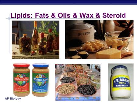 Lipids: Fats & Oils & Wax & Steroid