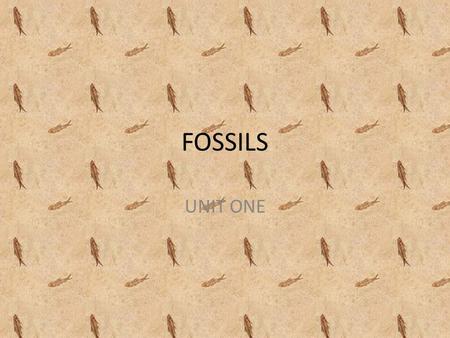FOSSILS UNIT ONE.