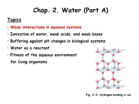Chap. 2. Water (Part A) Topics Weak interactions in aqueous systems